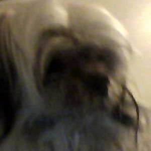 Meet your Posher, Evangelina